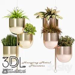 آبجکت گیاه plant 551