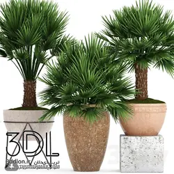 آبجکت گیاه plant 549