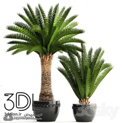 آبجکت گیاه plant 548