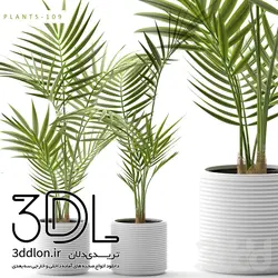 آبجکت گیاه plant 546