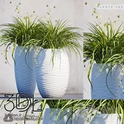 آبجکت گیاه plant 545