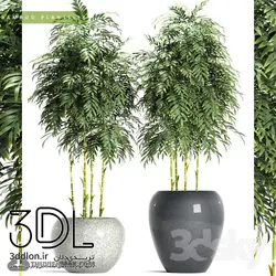 آبجکت گیاه plant 543