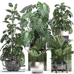 آبجکت گیاه plant 542