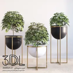 آبجکت گیاه plant 541