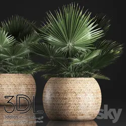 آبجکت گیاه plant 540