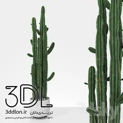 آبجکت گیاه plant 538