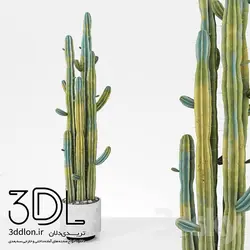 آبجکت گیاه plant 537