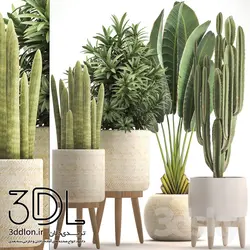 آبجکت گیاه plant 535