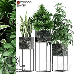 آبجکت گیاه plant 533