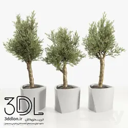 آبجکت گیاه plant 531