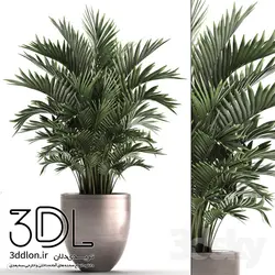 آبجکت گیاه plant 530