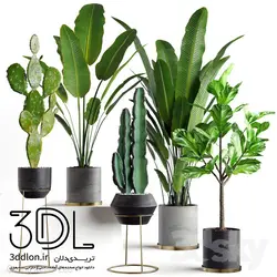 آبجکت گیاه plant 528