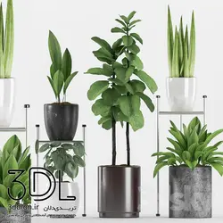 آبجکت گیاه plant 527