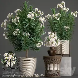 آبجکت گیاه plant 526