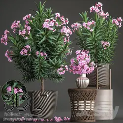 آبجکت گیاه plant 525