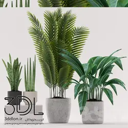 آبجکت گیاه plant 522