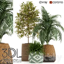 آبجکت گیاه plant 521