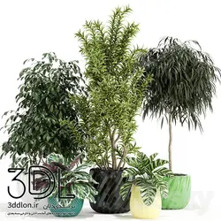 آبجکت گیاه plant 520