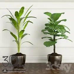 آبجکت گیاه plant 519