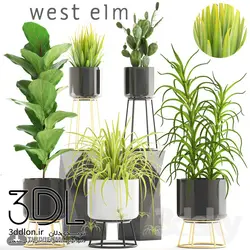 آبجکت گیاه plant 517