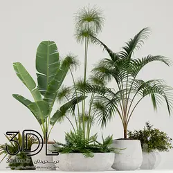 آبجکت گیاه plant 516
