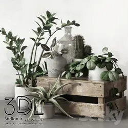 آبجکت گیاه plant 515