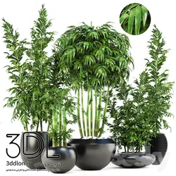 آبجکت گیاه plant 514