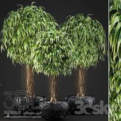 آبجکت گیاه plant 513