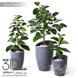 آبجکت گیاه plant 512