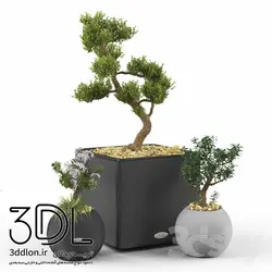 آبجکت گیاه plant 510