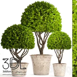 آبجکت گیاه plant 507