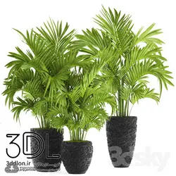 آبجکت گیاه plant 504