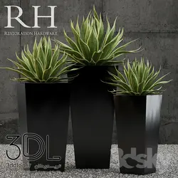 آبجکت گیاه plant 503