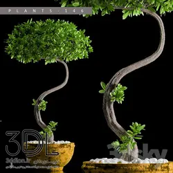 آبجکت گیاه plant 502