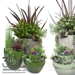 آبجکت گیاه plant 501