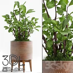 آبجکت گیاه plant 497