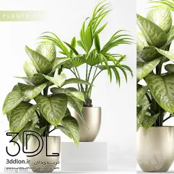 آبجکت گیاه plant 496