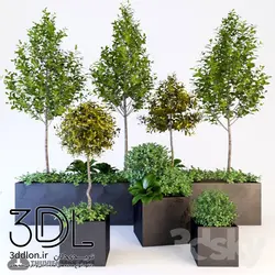 آبجکت گیاه plant 494