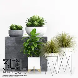 آبجکت گیاه plant 492