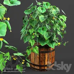 آبجکت گیاه plant 491