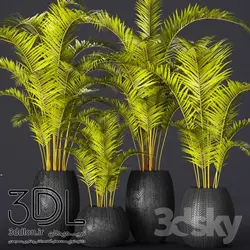 آبجکت گیاه plant 489