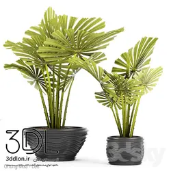 آبجکت گیاه plant 490