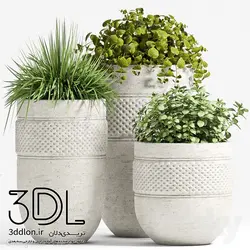 آبجکت گیاه plant 488