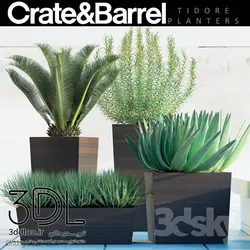 آبجکت گیاه plant 487