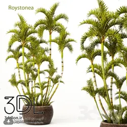 آبجکت گیاه plant 485