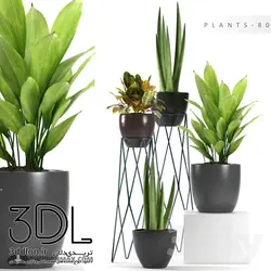 آبجکت گیاه plant 482