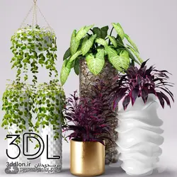 آبجکت گیاه plant 481