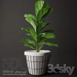 آبجکت گیاه plant 480