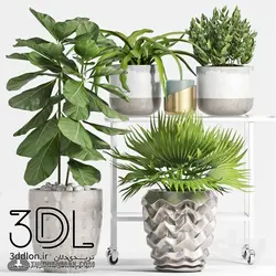 آبجکت گیاه plant 478