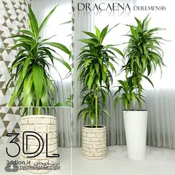 آبجکت گیاه plant 477